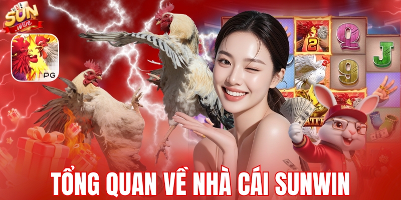 
Tổng quan về nhà cái SUNWIN